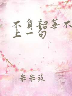 不负韶华不负卿上一句