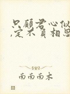 只愿君心似我心,定不负相思意对应的诗句