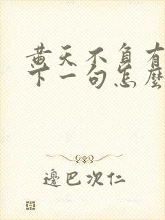 黄天不负有心人下一句怎么说