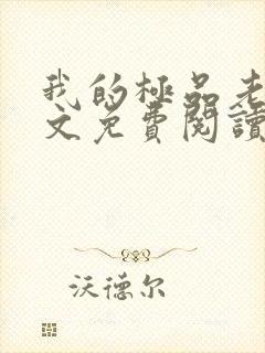 我的极品老婆全文免费阅读