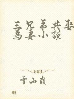 三兄弟共娶一女为妻小说