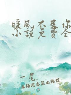 暖风不及你情深小说免费全文阅读