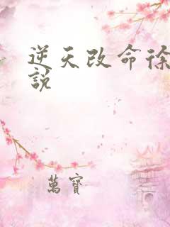 逆天改命徐大小说