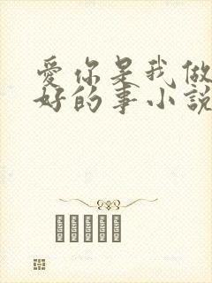爱你是我做过最好的事小说