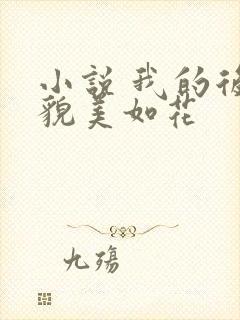 小说 我的后妈貌美如花