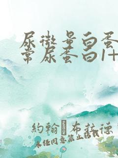 尿微量白蛋白正常尿蛋白1+