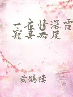 一夜情深霍先生宠妻无度