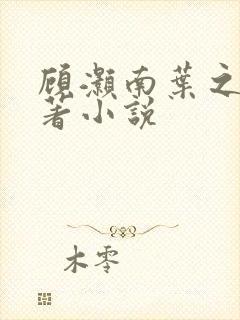 顾灏南叶之夏原著小说