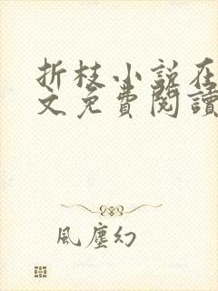 折枝小说在线全文免费阅读无弹窗