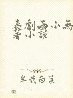 泰剧两小无拆原著小说