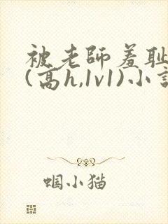 被老师羞耻调教(高h,1v1)小说