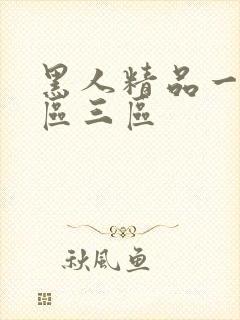 黑人精品一区二区三区