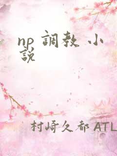 np 调教 小说