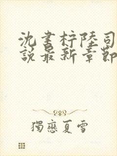 沈书柠陆司砚小说最新章节免费阅读