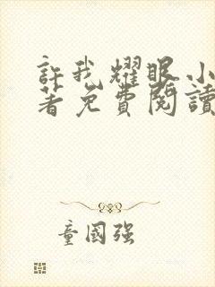 许我耀眼小说原著免费阅读