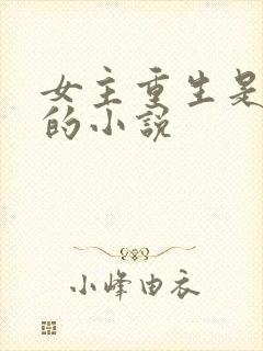 女主重生是学霸的小说