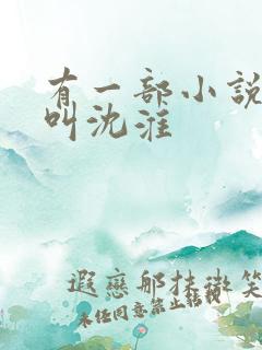 有一部小说主角叫沈淮