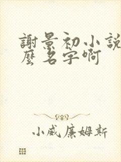 谢景初小说叫什么名字啊