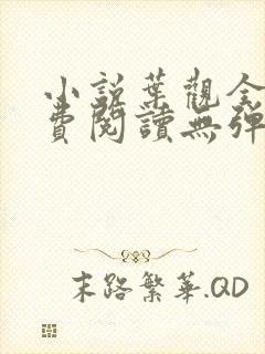 小说叶观全文免费阅读无弹窗