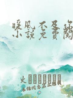 暖风不及你情深小说免费阅读免费