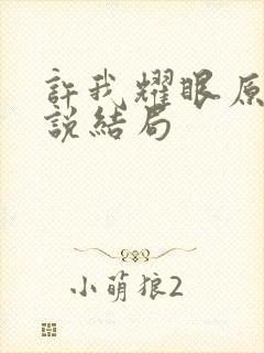 许我耀眼原著小说结局