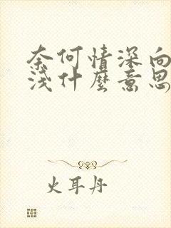 奈何情深向来缘浅什么意思