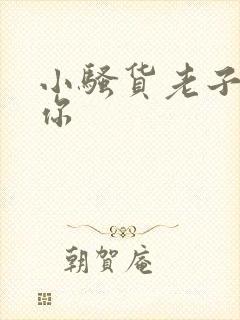 小骚货老子操死你