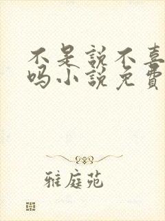 不是说不喜欢我吗小说免费阅读