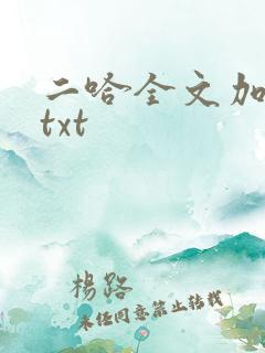 二哈全文加番外txt
