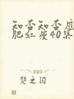 知否知否应是绿肥红瘦40集免费观看