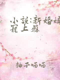 小说:新婚娇妻宠上瘾