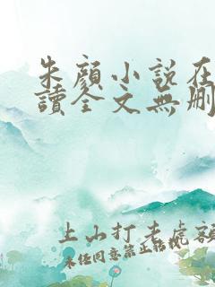 朱颜小说在线阅读全文无删减