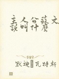 主人公苏文的小说叫什么