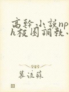 高干小说np肉h校园调教小说