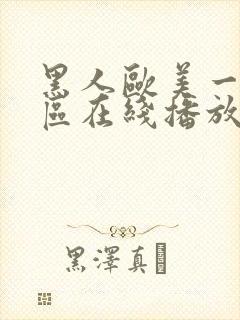 黑人欧美一区二区在线播放