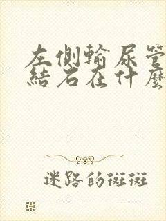 左侧输尿管下段结石在什么位置