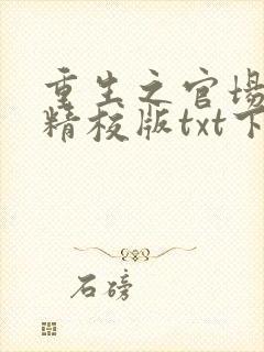 重生之官场风流精校版txt下载