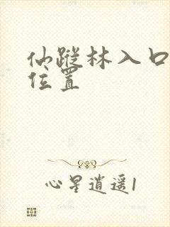 仙踪林入口隐藏位置