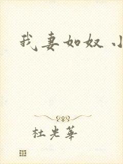 我妻如奴 小说