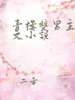 青楼双男主训诫文小说