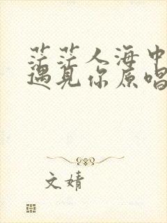 茫茫人海中让我遇见你原唱完整版