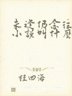 未逢仍念往原著小说叫什么名字