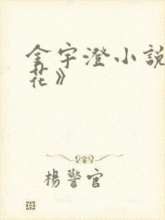 金宇澄小说《繁花》