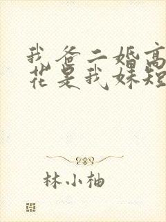 我爸二婚高冷校花是我妹短剧演员表