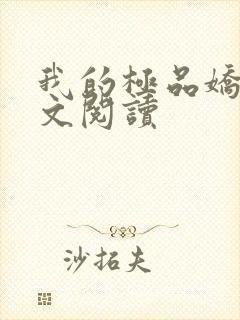 我的极品娇妻全文阅读