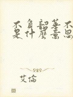 不负韶华不负卿是什么意思