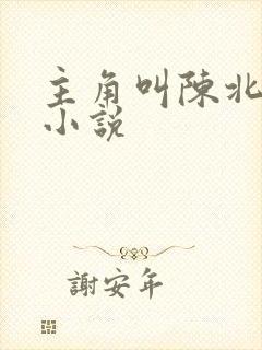 主角叫陈北玄的小说