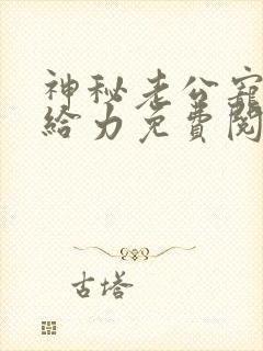 神秘老公宠妻要给力免费阅读无弹窗