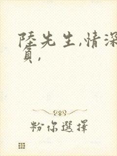 陆先生,情深不负,