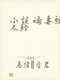 小说 娇妻被黑人干